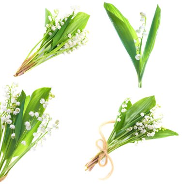 Beyaz dört demetleri kümesinden lilyum beyaz arka plan üzerinde izole vadi of flowers