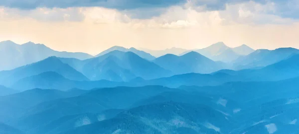 Paisagem de anime com um homem caminhando por uma floresta à noite