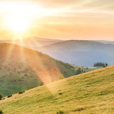 Orman ve dağlar gün batımı arka plan üzerinde