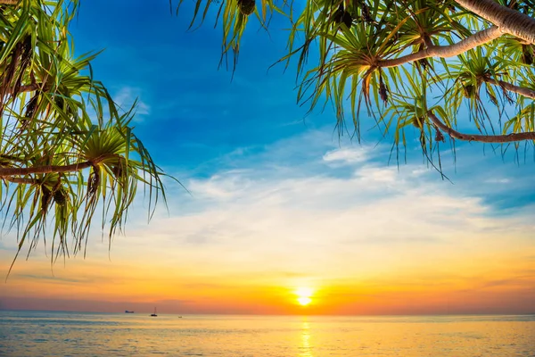 Tramonto sulla spiaggia tropicale con palme — Foto Stock