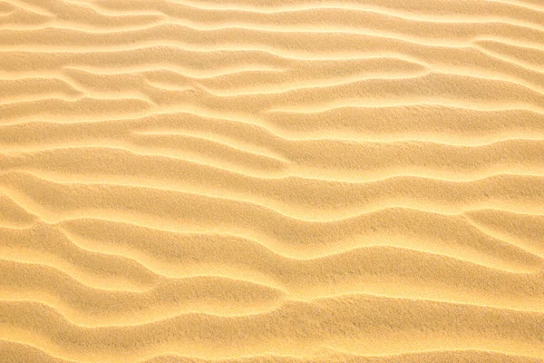 모래 언덕의 질감 — 스톡 사진