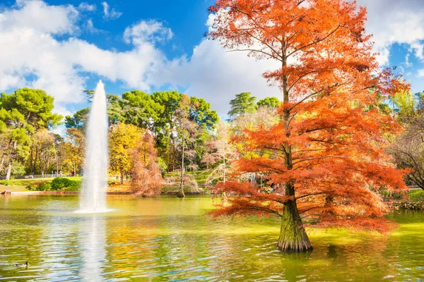 Fountain in park lake — Stock Photo, Image