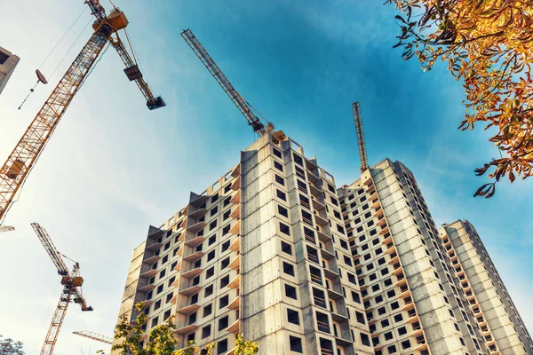 Chantier de construction avec grues — Photo