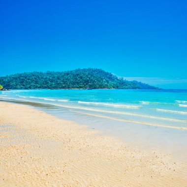 Beyaz kumlu ve yeşil ağaçlı tropikal adanın güzel sahili.