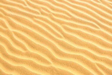 Sarı çöl kumulları doku. Doğal arka plan olarak kullanılabilir