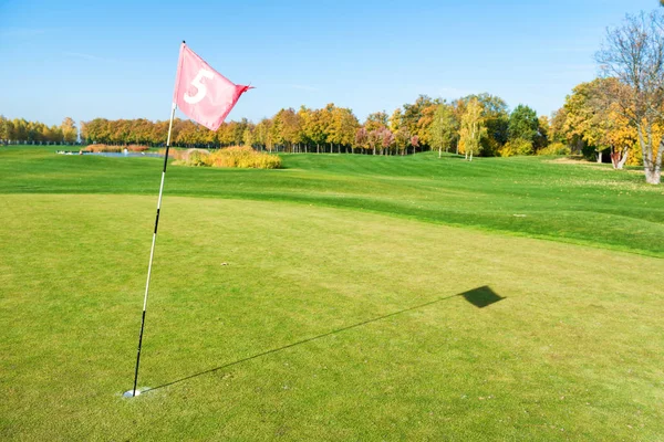 Golffahne Der Nähe Von Falle Auf Grünem Golfplatz — Stockfoto