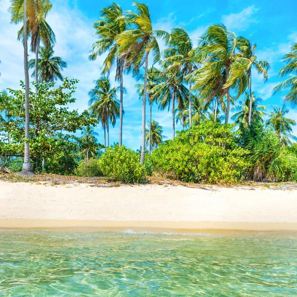 Palmiye Ağaçları Beyaz Kum Mavi Deniz Ile Tropikal Adada Güzel — Stok fotoğraf