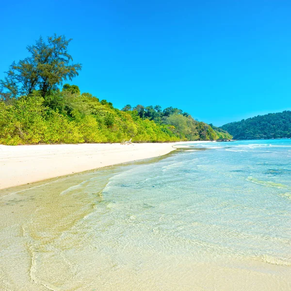 Panorama Pięknej Plaży Tropikalnej Wyspie Białym Piaskiem Zielonymi Drzewami — Zdjęcie stockowe
