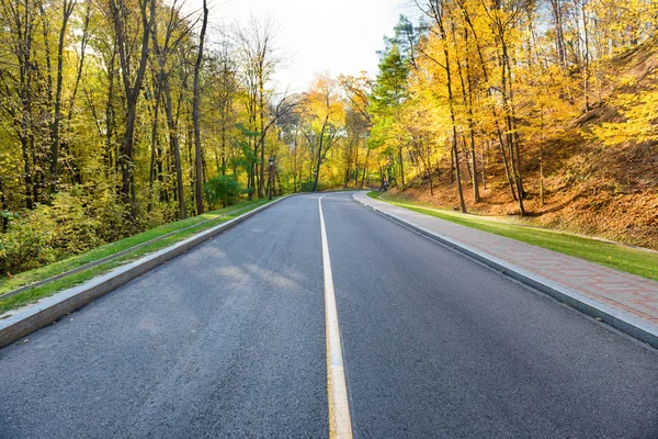 Road and autumn landscape — Stock Photo, Image