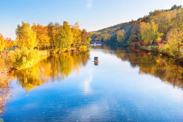 Lago no parque com floresta de outono — Fotografia de Stock