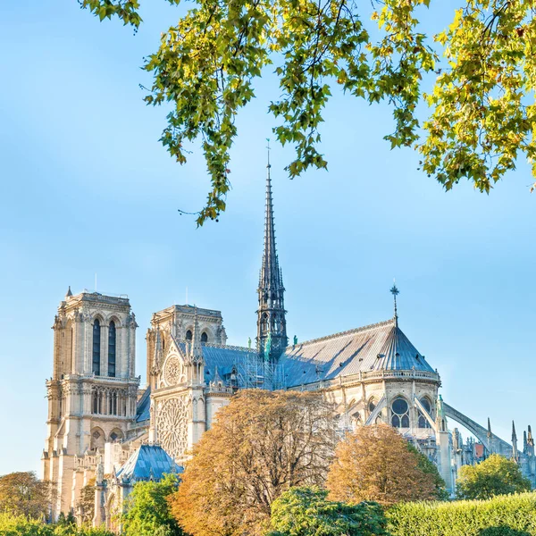 Notre Dame de Paris — Photo