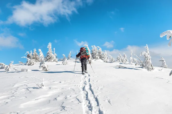 Człowiek wędrujący po śniegu w górach — Zdjęcie stockowe