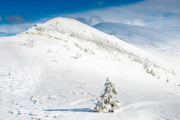 Vinterlandskap i bergen — Stockfoto