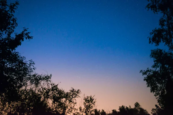 夕阳和黑夜 在森林中的黑暗的蓝天与明亮的星星作为空间背景 — 图库照片