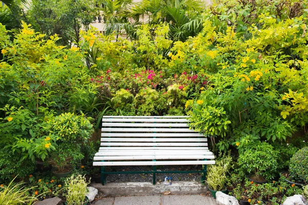 Empty Bench Green Tropical Garden Lush Foliage Palm Leaves — Stock Photo, Image