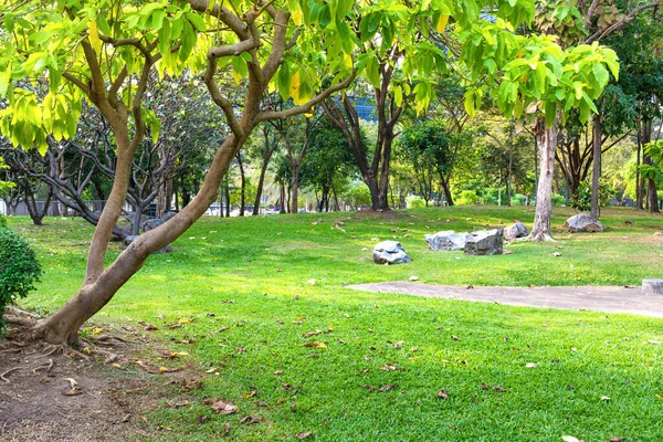 緑の木々 芝生と空の背景に近代的な建物と美しいLumphini公園の景観ビュー タイのバンコク — ストック写真