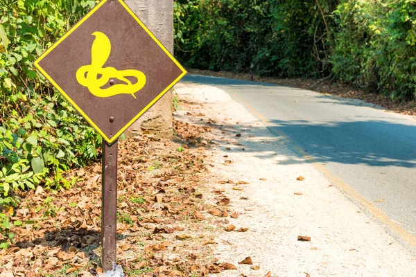 Beware Poisonous Snake Sigh Road Jungle Forest — Stock Photo, Image