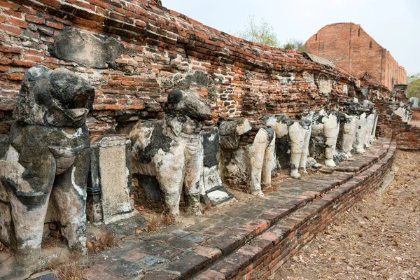 レンガワットMaheyong寺院の遺跡で象の彫刻の行 アユタヤの歴史的建造物 — ストック写真