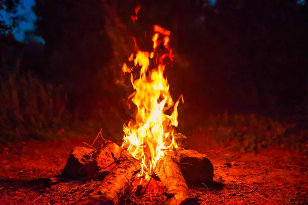 夜间森林中靠近水的篝火 — 图库照片