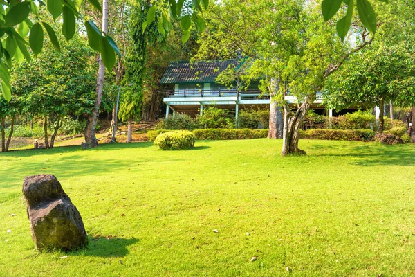 Güneşli Bir Günde Yeşil Çimleri Ağaçları Evi Olan Tropik Bir — Stok fotoğraf