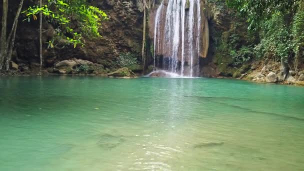 Cascata Água Cachoeira Perto Árvore Floresta Verde Clipe Vídeo — Vídeo de Stock