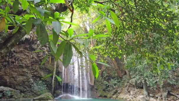 Vattenfall Vatten Kaskad Nära Träd Grön Skog Videoklipp — Stockvideo