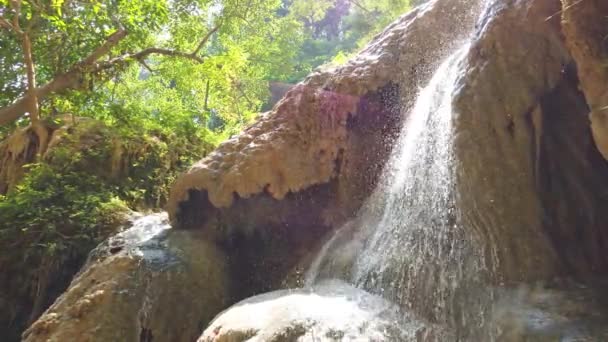 Cascata Cascata Acqua Vicino All Albero Nella Foresta Verde Clip — Video Stock