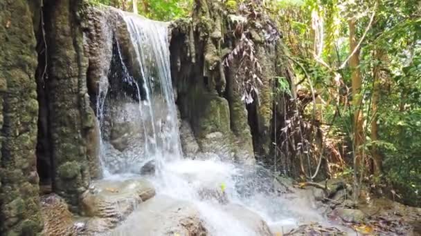 翠绿的森林里 瀑布般的水在树边瀑布般的瀑布 4K视频剪辑 — 图库视频影像