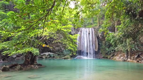 Cascata Cascata Acqua Vicino All Albero Nella Foresta Verde Clip — Video Stock