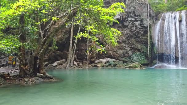Cascata Água Cachoeira Perto Árvore Floresta Verde Clipe Vídeo — Vídeo de Stock