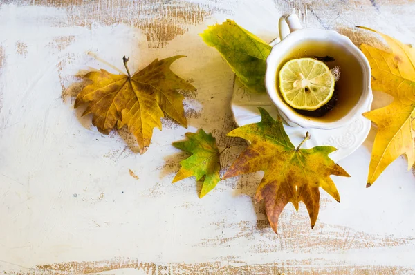 Tasse de thé au citron — Photo