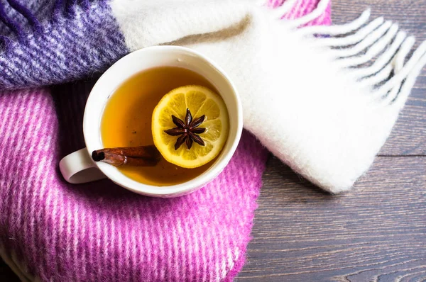 Tè speziato in tempo freddo — Foto Stock