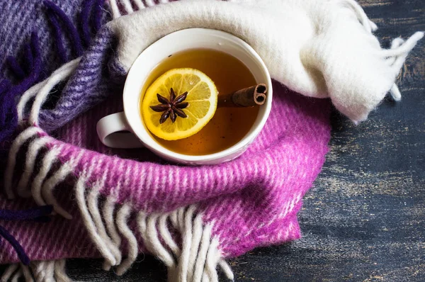 Spiced tea in cold time — Stock Photo, Image