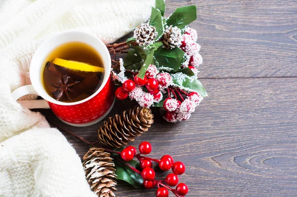 Té con especias en tiempo frío — Foto de Stock