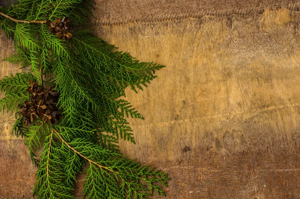 Jul ram med fir tree — Stockfoto