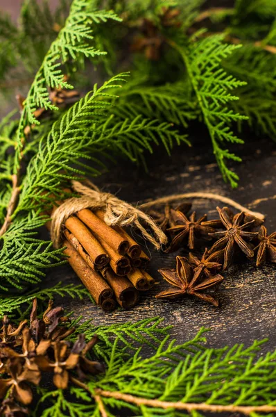 Christmas spices and fir tree — Stock Photo, Image