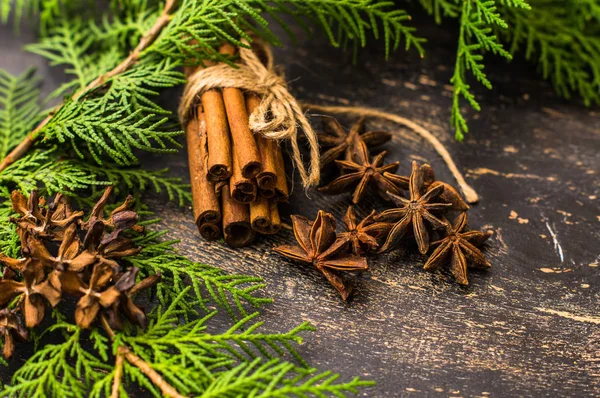 Kerst specerijen en fir tree — Stockfoto