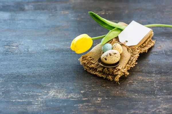 Concepto festivo de Pascua — Foto de Stock