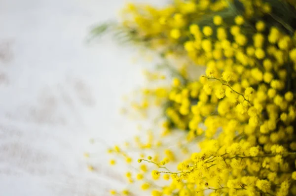 Koncepcja kwiatowy wiosną — Zdjęcie stockowe