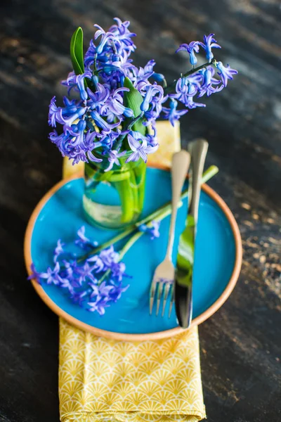 Concepto de primavera con jacinto — Foto de Stock