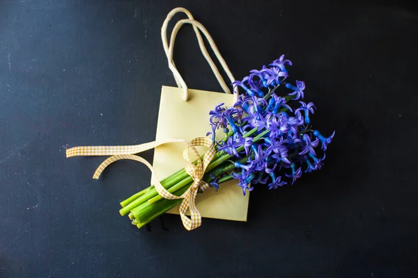 Spring concept with hyacinth — Stock Photo, Image