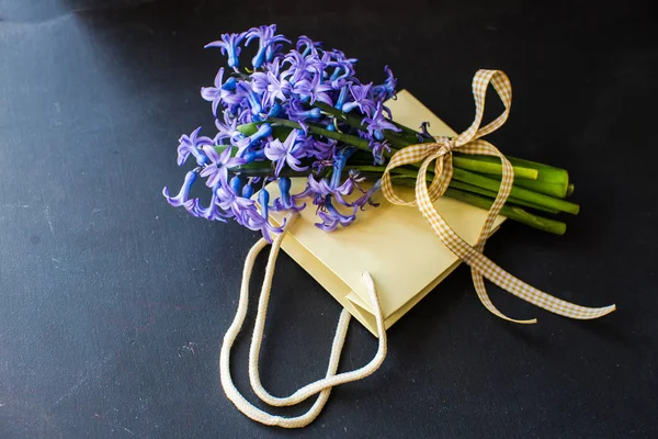Jarní koncept s hyacinth — Stock fotografie