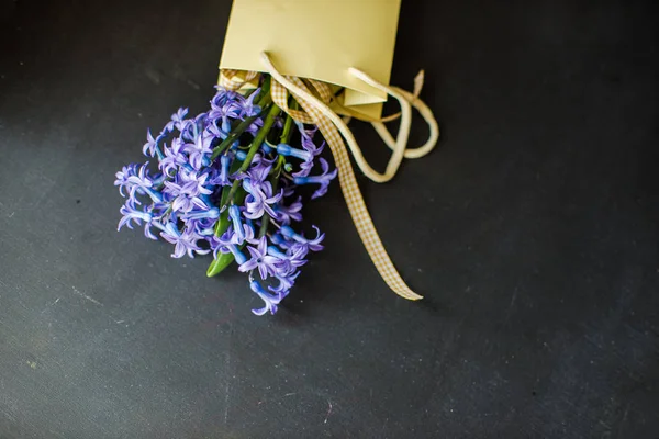 Conceito de primavera com jacinto — Fotografia de Stock