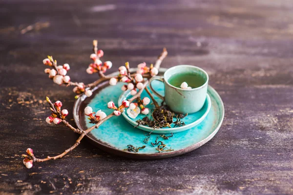 Grönt te och persikoblomma som våren koncept — Stockfoto