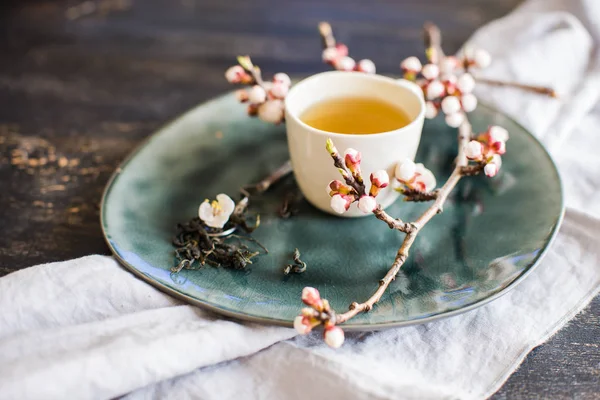 Té verde y flor de melocotón como concepto de primavera — Foto de Stock