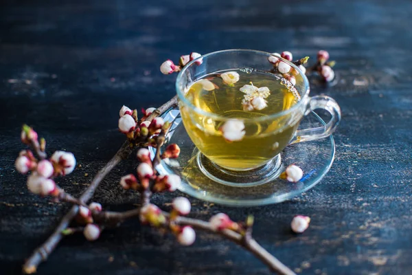 Green tea and peach blossom as a spring concept — Stock Photo, Image