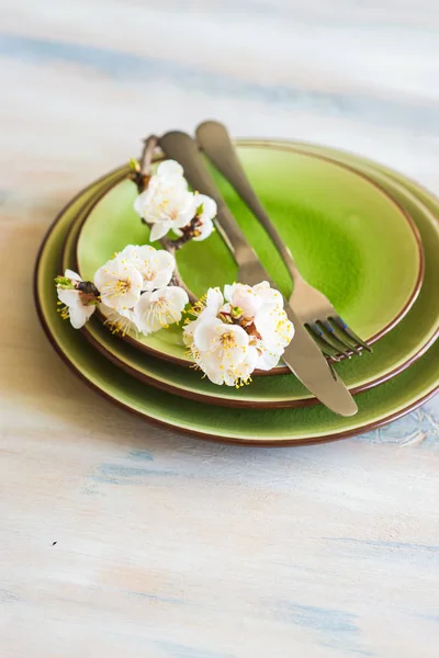 Spring concept with peach blooming — Stock Photo, Image