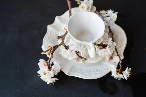 Bahar kavramı ile çiçeklenme şeftali — Stok fotoğraf