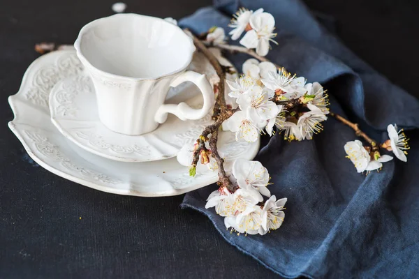 Bahar kavramı ile çiçeklenme şeftali — Stok fotoğraf