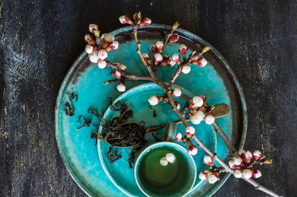 Groene thee en perzik bloesem als een voorjaar-concept — Stockfoto